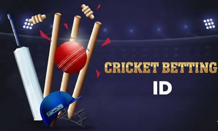 Cricket bats, stumps and ball